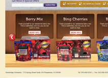 dried fruit website